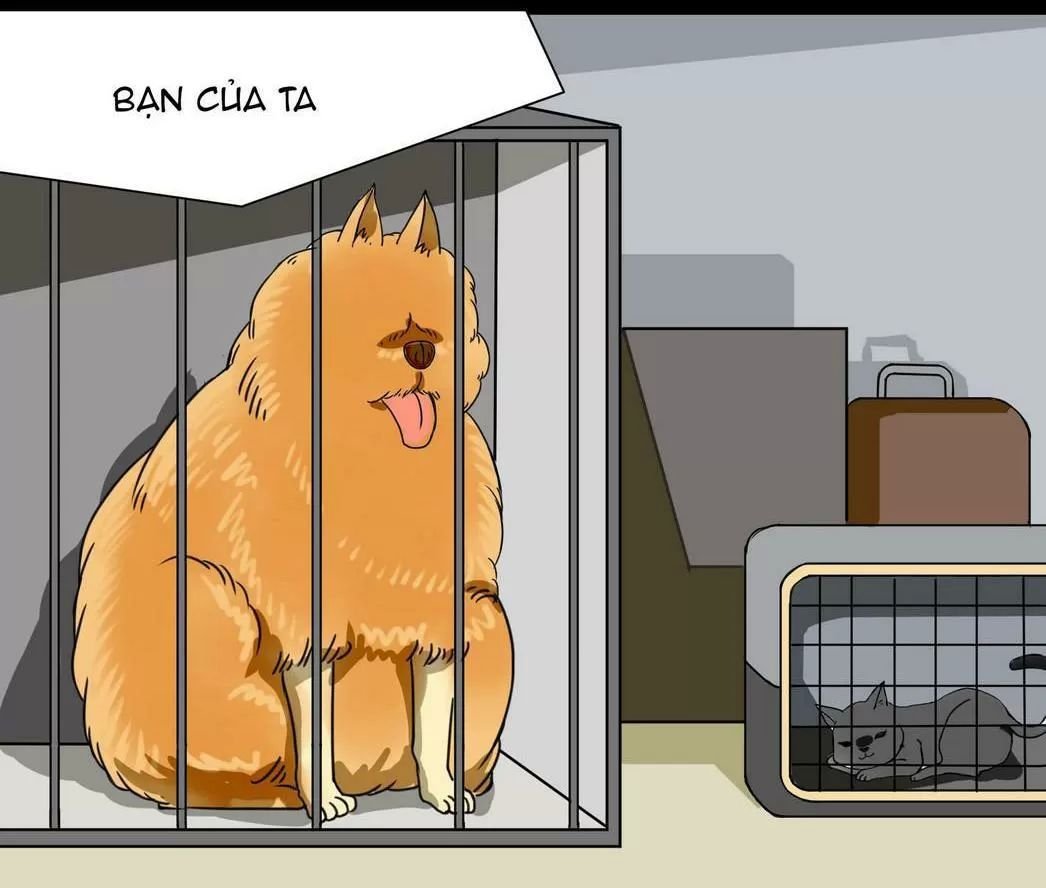 một con chó chapter 42 8