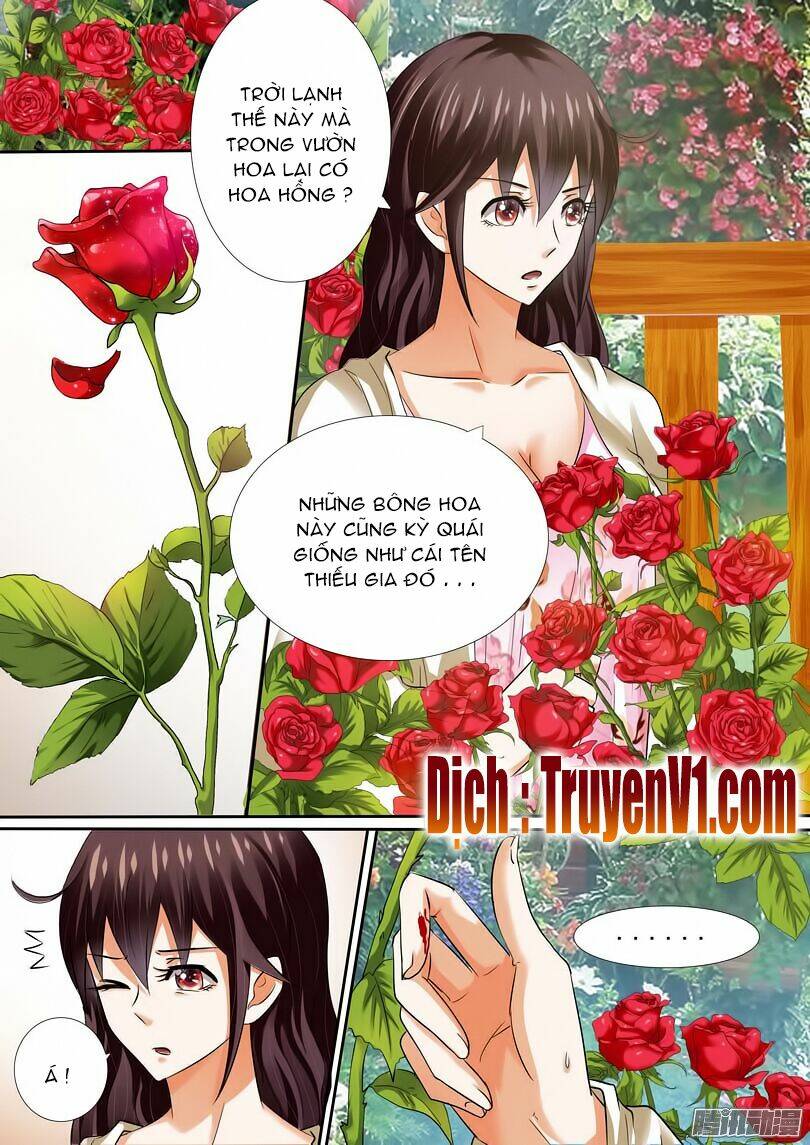 hào môn tiểu lão bà chapter 11 3