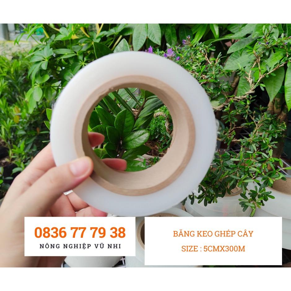 Băng keo ghép cây tự dính, tự hủy size 5cmx300m - hatgiong24h