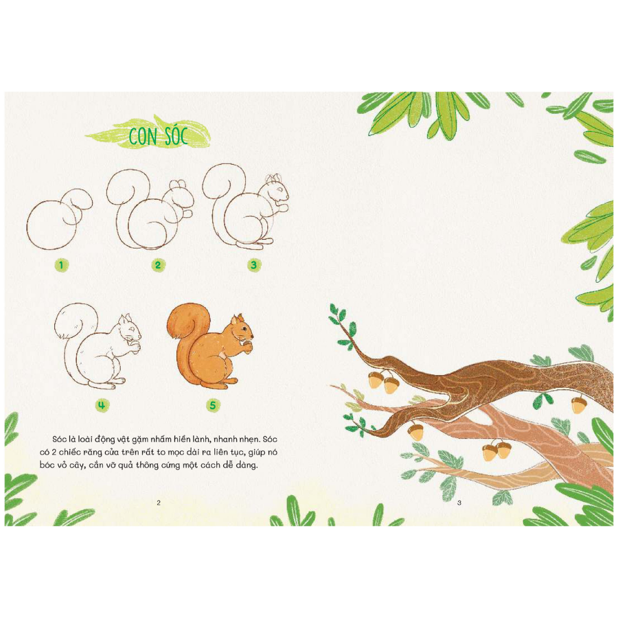 Nào Mình Cùng Vẽ - Rừng Xanh Bí Ẩn