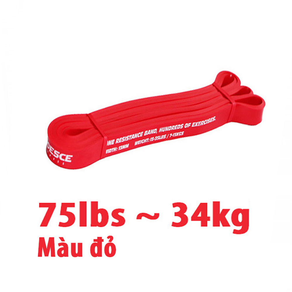 DÂY KHÁNG LỰC TẬP GYM POWERBAND CHÍNH HÃNG PROESCE HỖ TRỢ TẬP GYM, LÊN XÀ