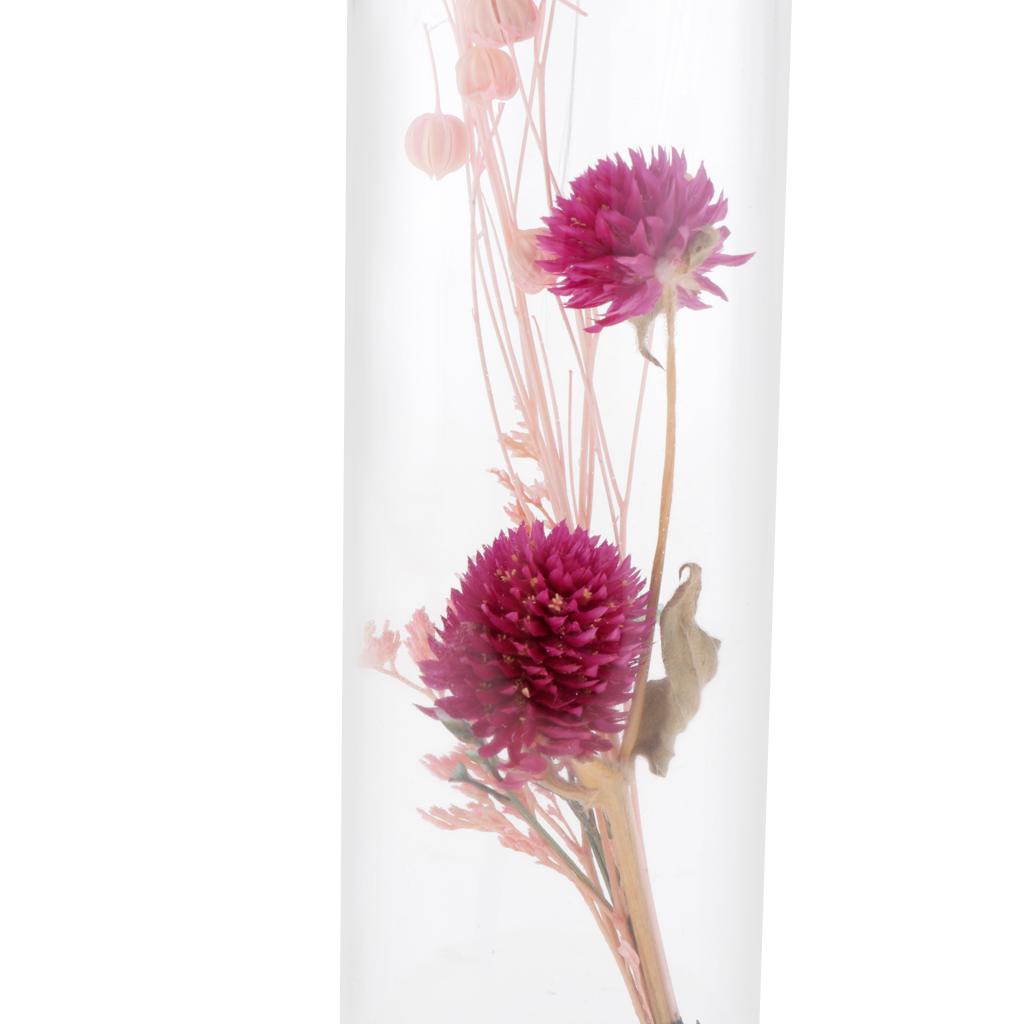Romantic Dried Flower Plant Ornament Micro Landscape Glass Cover Purple