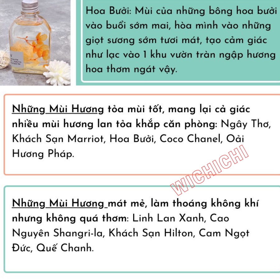 Tinh Dầu Thơm Phòng Ngây Thơ Có Que Gỗ Khuếch Tán Phát Sáng Ban Đêm - Nước Hoa Thơm Phòng Ngây Thơ 100ml