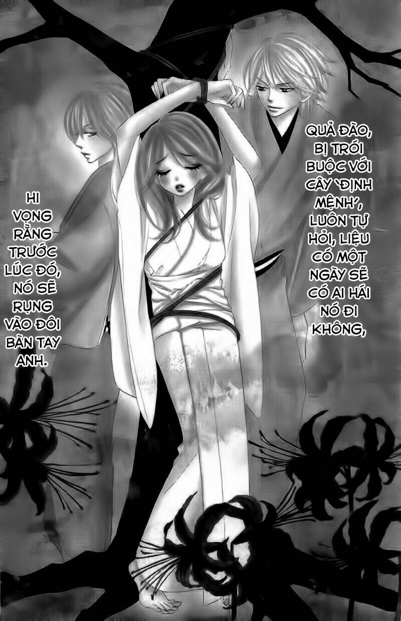 yêu quái cánh đen chapter 13 3