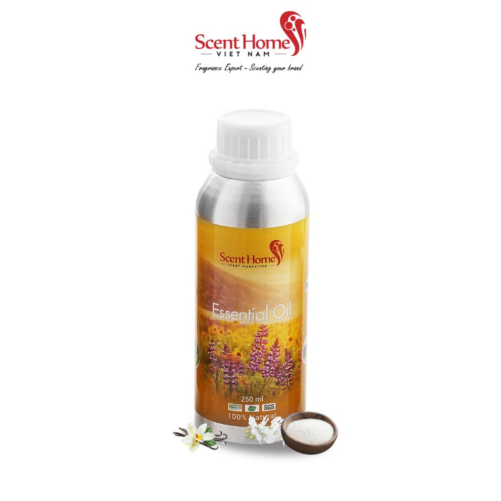 Tinh dầu Scent Homes - mùi hương (BBW Warm Vanila Sugar)