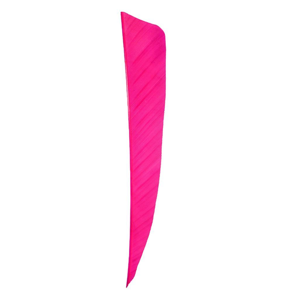 2-6pack 12 Pieces 4 Inch Archery Arrow Feathers Fletchings Vanes Rose Red