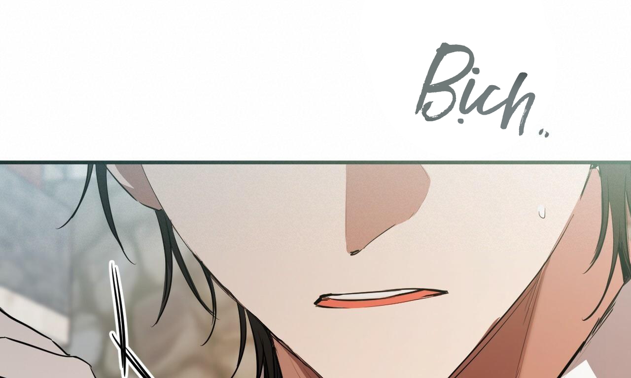 những chú thỏ của hapypy chapter 49 268