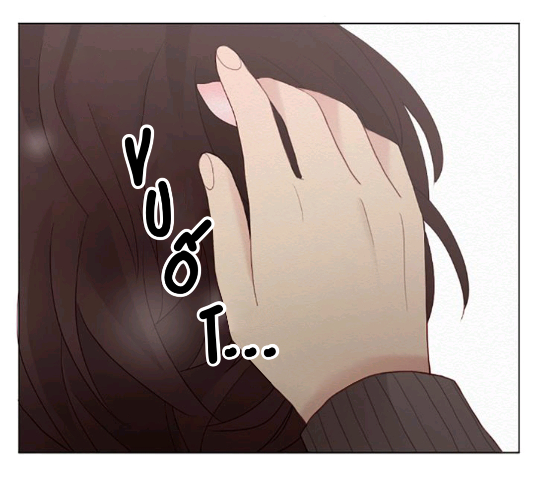 thầm yêu chapter 12 63