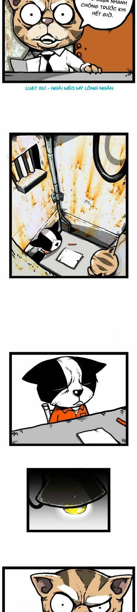 earth, human, and animal chapter 22 3