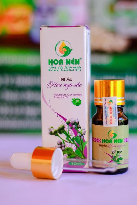 Tinh dầu hoa Ngũ sắc (cỏ hôi) nguyên chất Hoa Nén 5ml - 10ml - Đặc trị viêm xoang, viêm mũi dị ứng