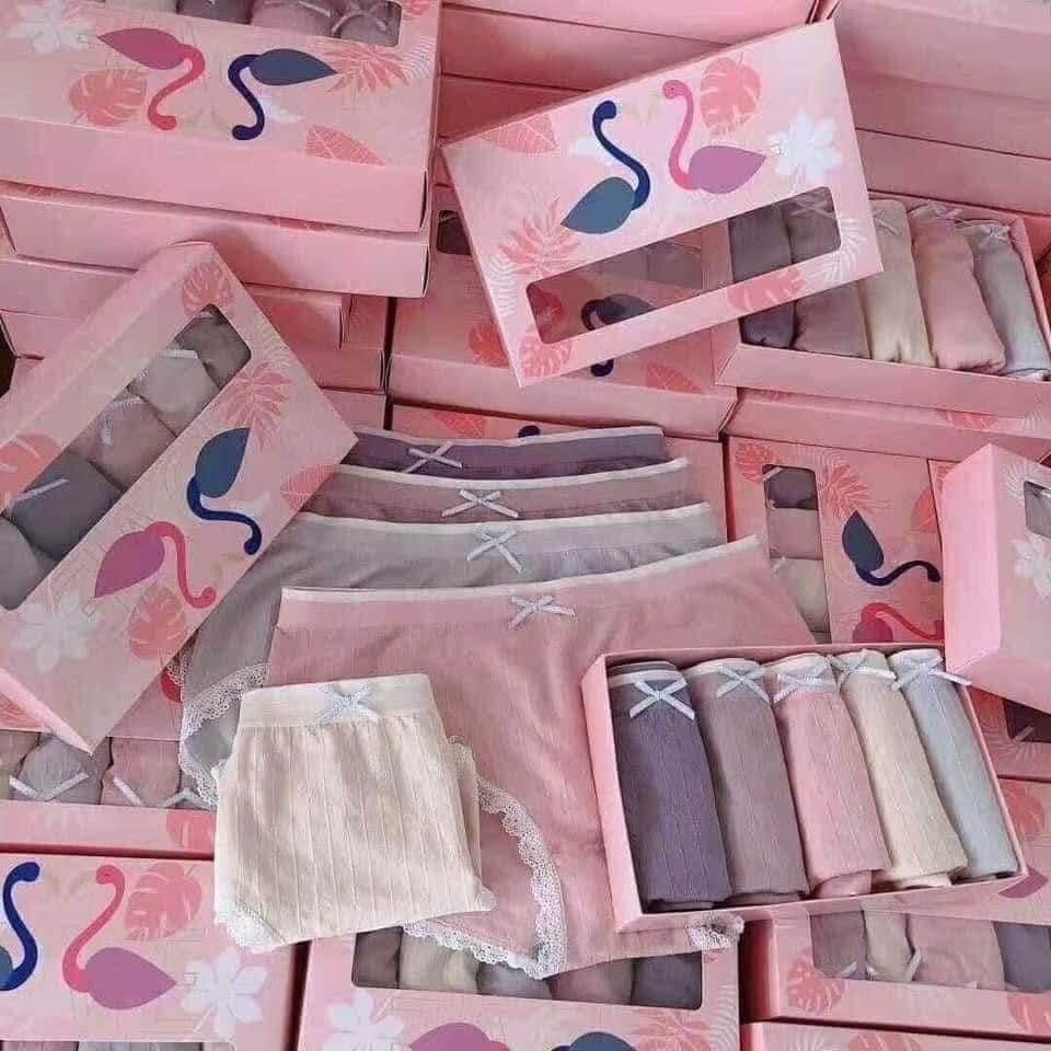 Hộp 5 quần lót nữ hạc hồng