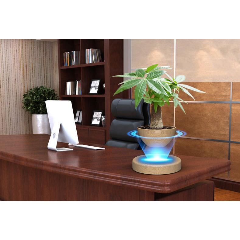 Cây bonsai bay lơ lửng vân gỗ Đen - Home & Garden