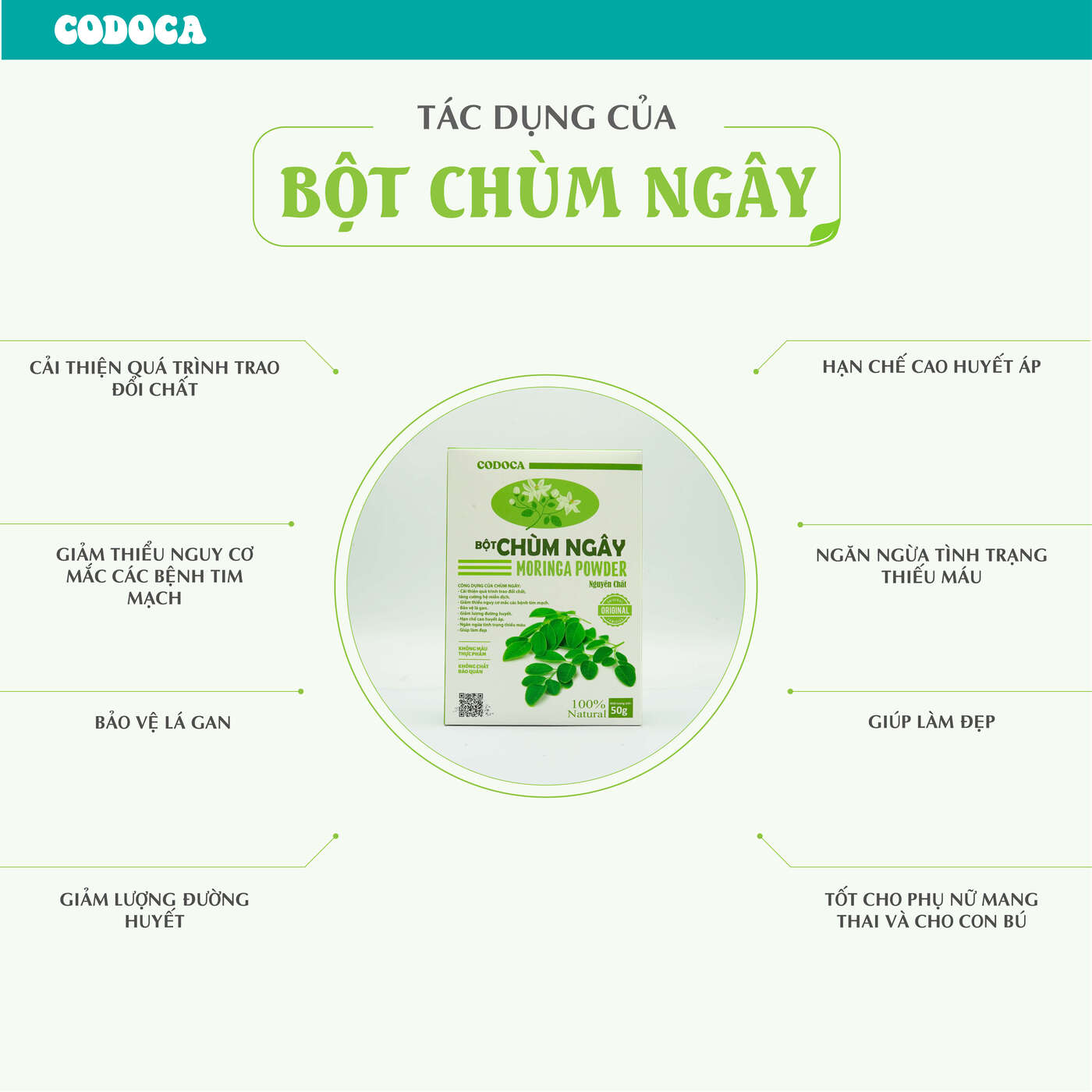 Bột Chùm ngây Codoca Nguyên Chất Sấy Lạnh (50g) Hỗ trợ ổn định huyết áp, tốt cho tim mạch