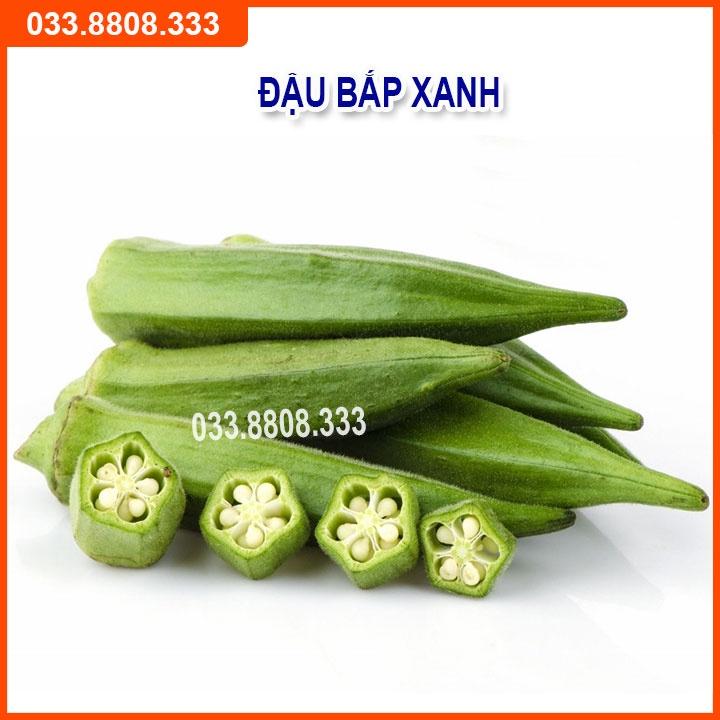 Bộ 4 Hạt Giống Đậu Đỗ Dưa Chuột
