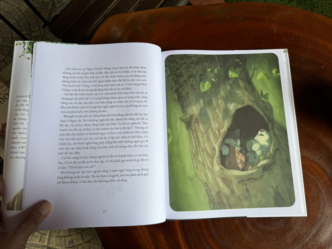 (Bìa Cứng, In Màu) CHUYỆN RỪNG XANH - Rudyard Kipling - Crabit Kidbooks