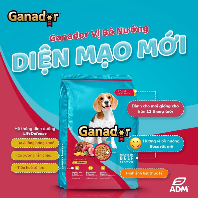 Thức Ăn Hạt Cho Chó Lớn Vị Thịt Bò Ganador Adult Roasted Beef Gói 3kg