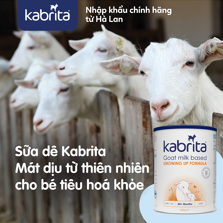 Sữa dê Kabrita số 3 cho trẻ trên 24 tháng - Lon 800g