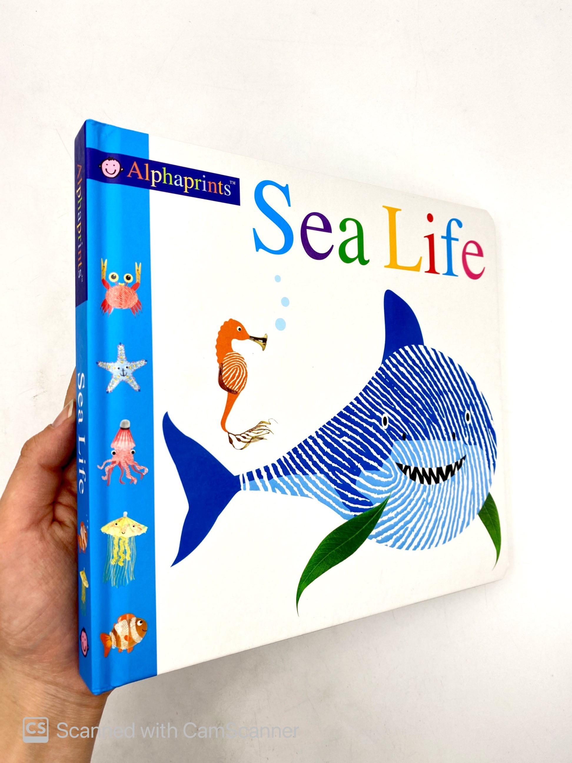 Alphaprints: Sea Life