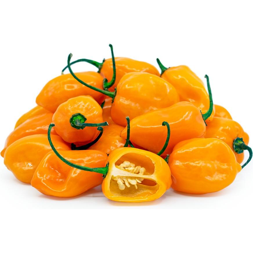 Hạt giống Ớt Siêu Cay Habanero Mỹ