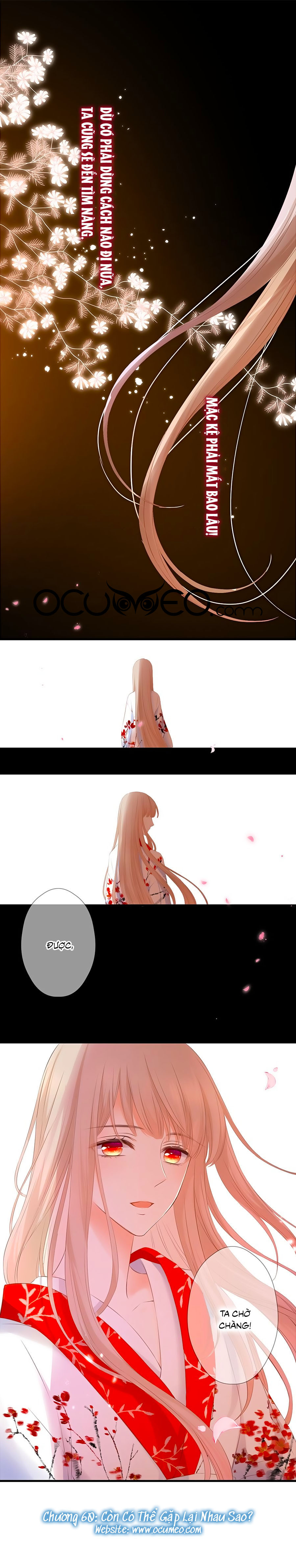 đóa hoa chớm nở chapter 60 2