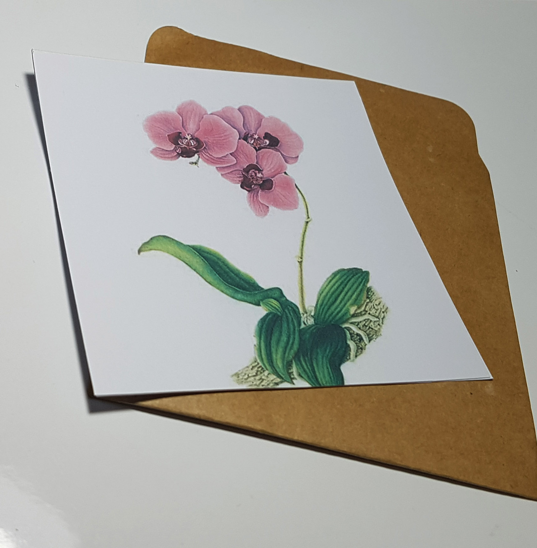 Thiệp phong cách Vintage card quà cám ơn ,chúc mừng sinh nhật và giử tặng người thân yêu.