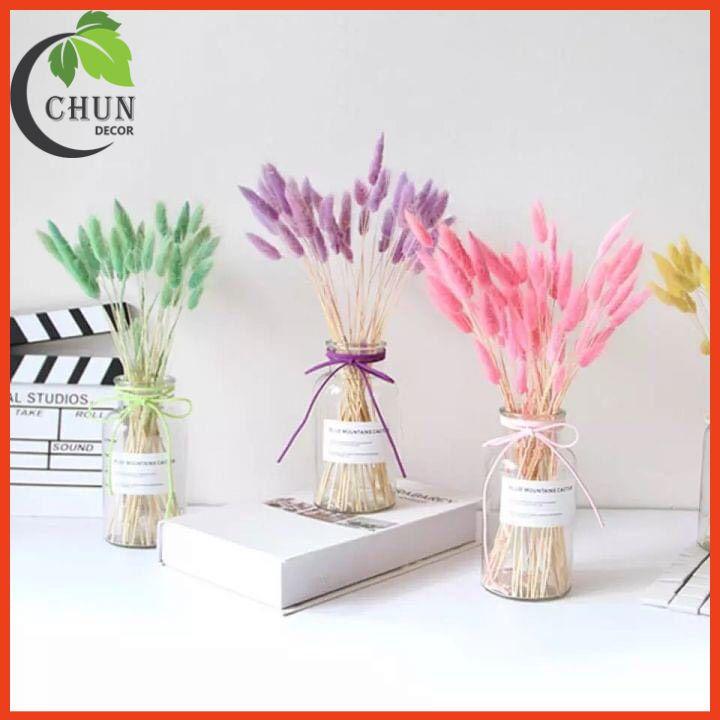 Hoa Khô, Bình Hoa Cỏ Đuôi Cao 25cm Trang Trí Nhà Cửa, Cửa Hàng, Văn Phòng