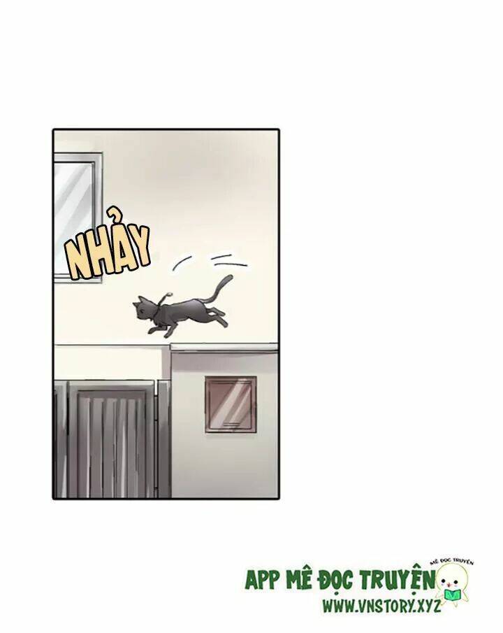 ngàn vạn nụ hôn đầu chapter 19 56