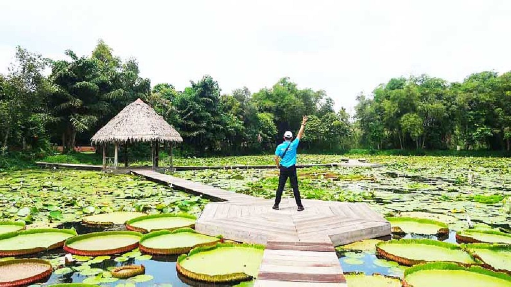 Tour Cần Thơ Đồng Tháp 1 ngày Xẻo Quýt – Khám phá vùng đất “Sen Hồng”