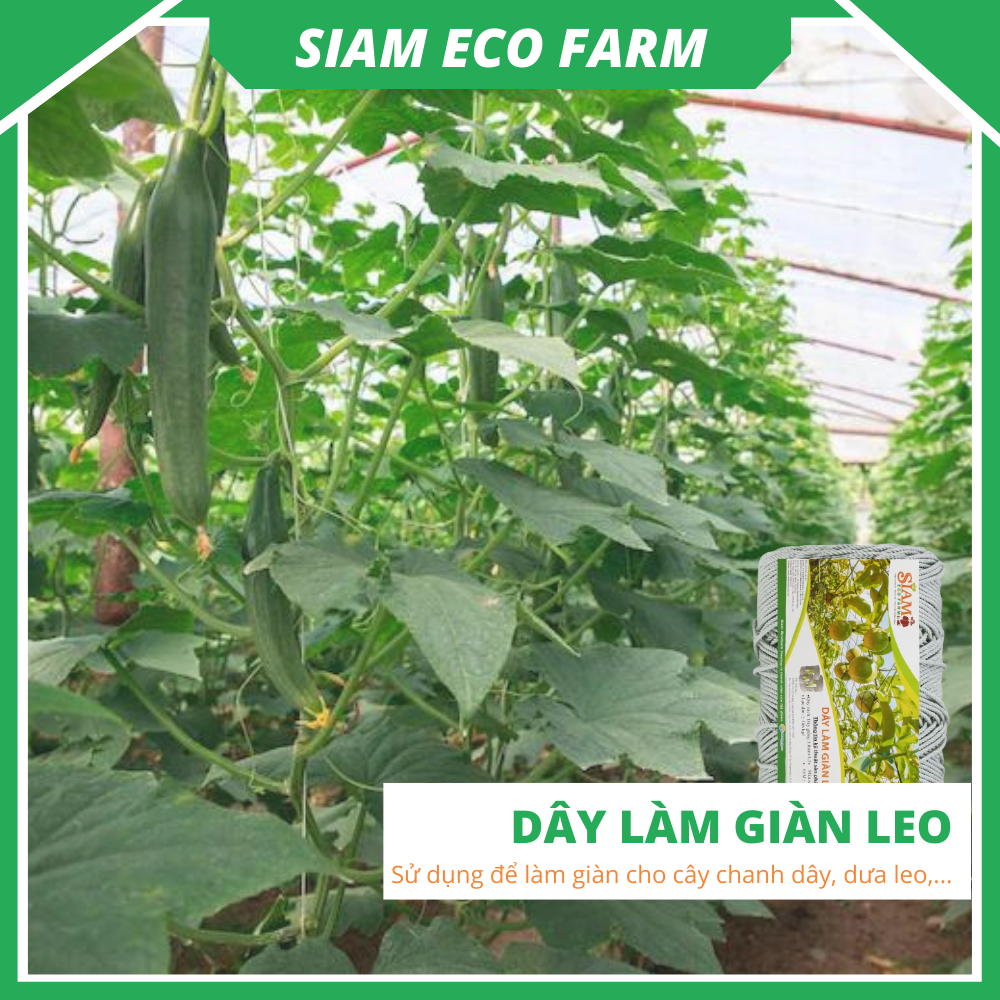 Dây làm giàn leo 3mm Siam Ecofam - chuyên làm giàn chanh leo, giàn bầu bí siêu bền