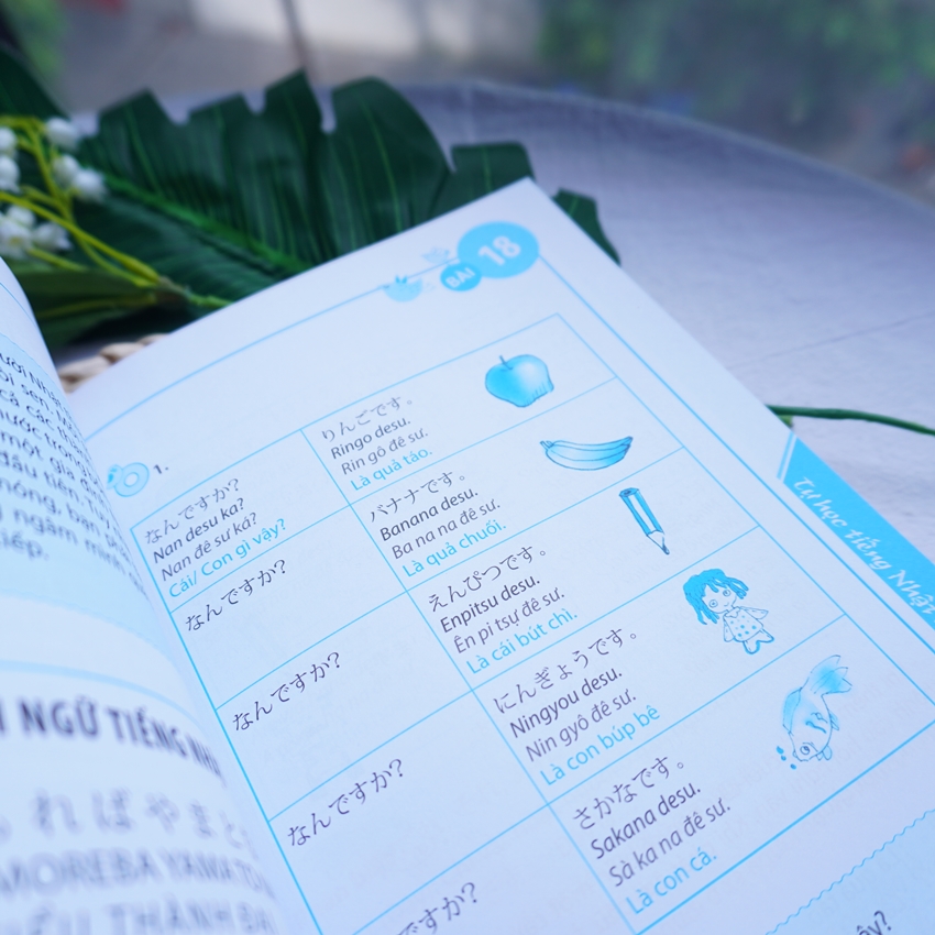Tự Học Tiếng Nhật Cho Người Mới Bắt Đầu  (Tái Bản)