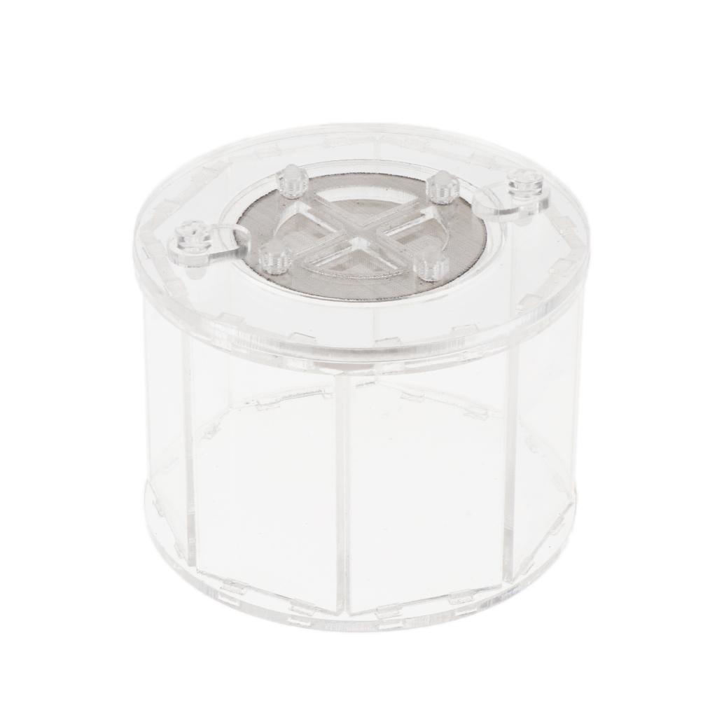 Spider Insect Reptile Tank Vivarium Cage Box Transparent Acrylic Terrarium