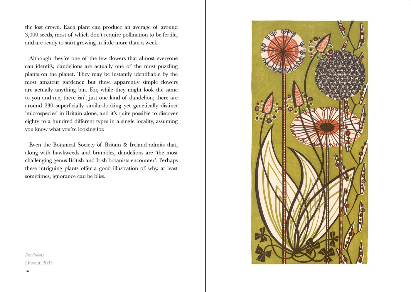 The Book of Wild Flowers : Reflections on Favorite Plants