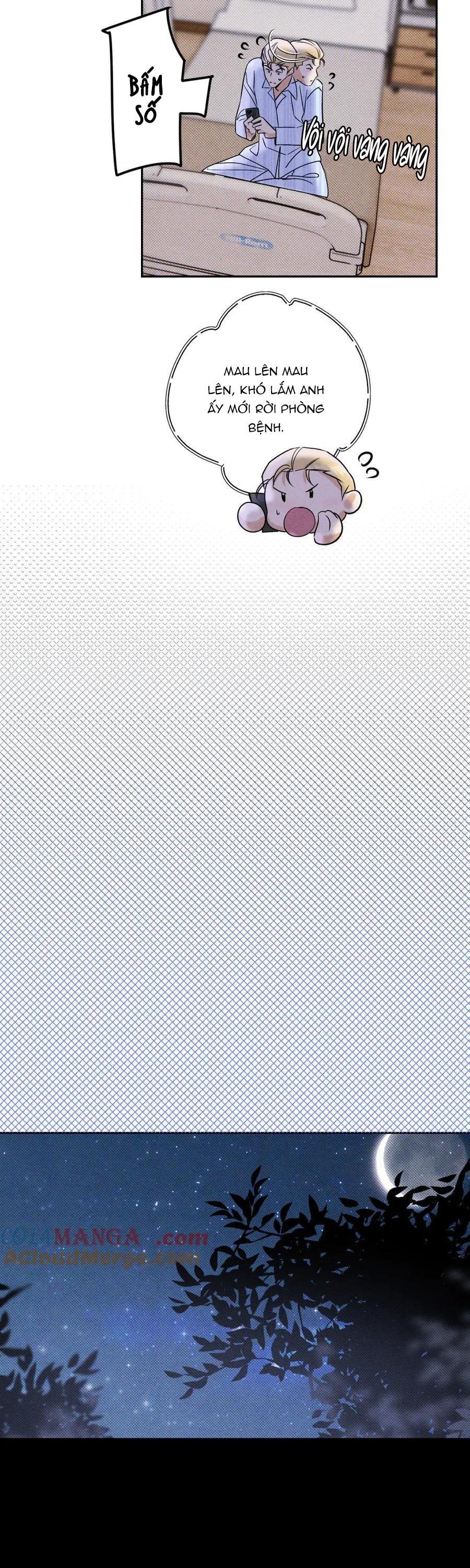 anh trai rẻ tiền của tôi chapter 65 15