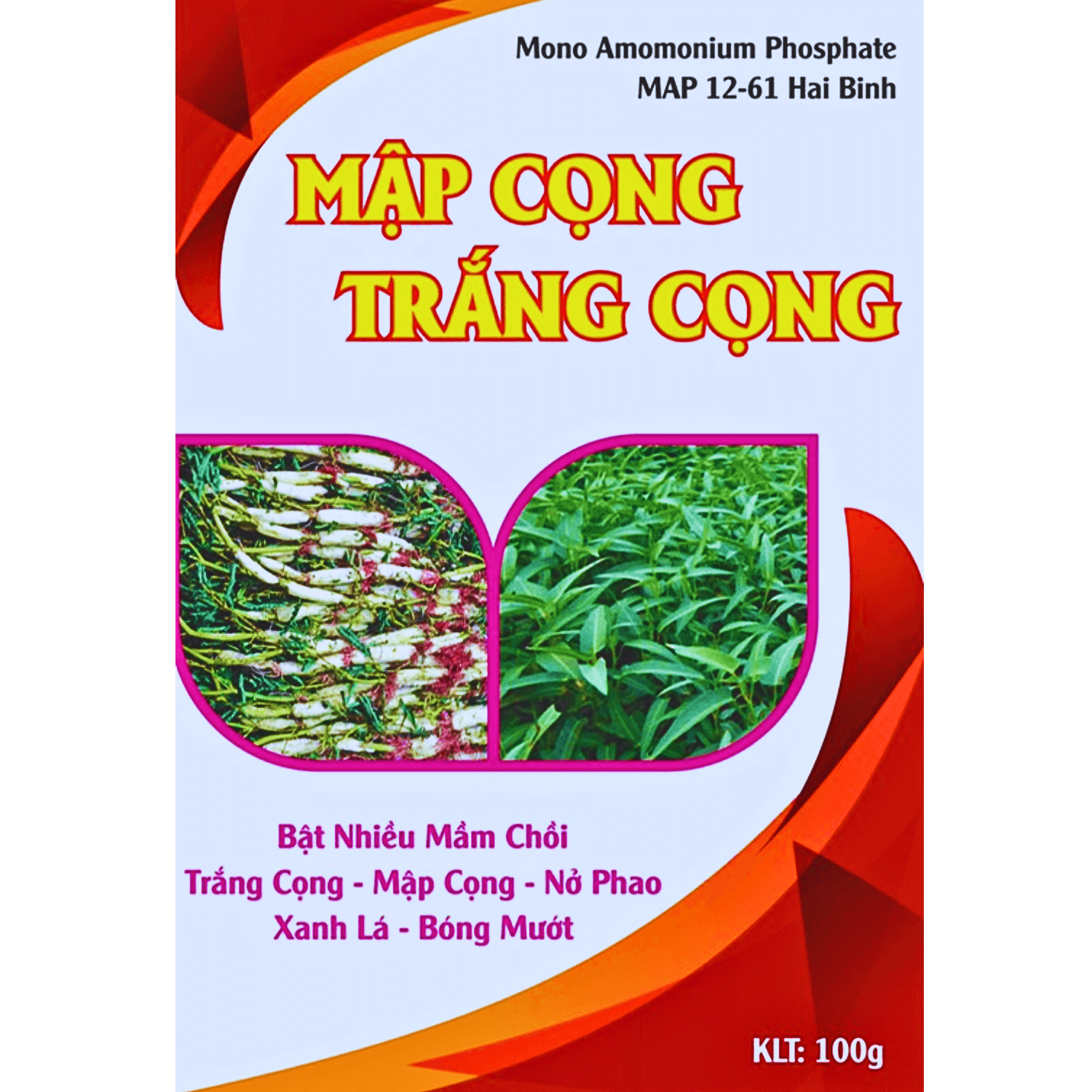 Phân bón Vigami Mono Amomonium Phosphate MAP 12-61 Hai Binh mập cọng, trắng cọng 100G
