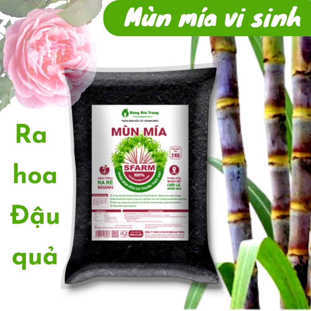 Phân mùn mía SFARM tăng tỉ lệ ra hoa đậu trái kích rễ mầm túi 2kg