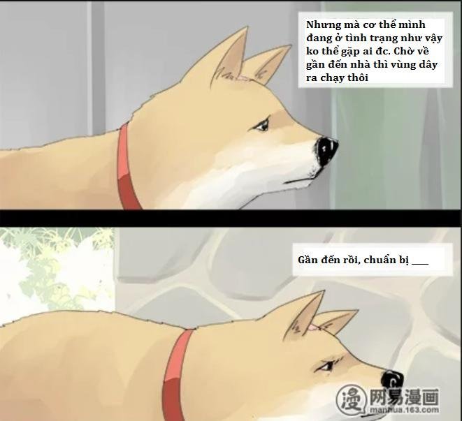 một con chó chapter 5 4