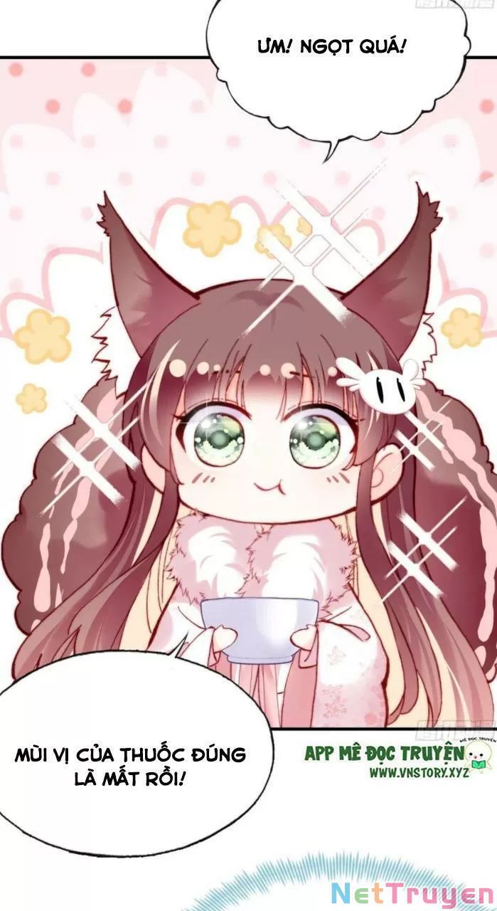 lại bị bệnh chiều chuộng quấn lấy chapter 33 11