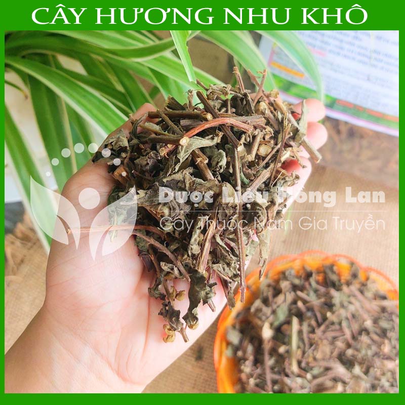 1kg Cây Hương Nhu khô sạch