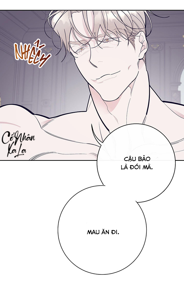 than van chapter 8 19