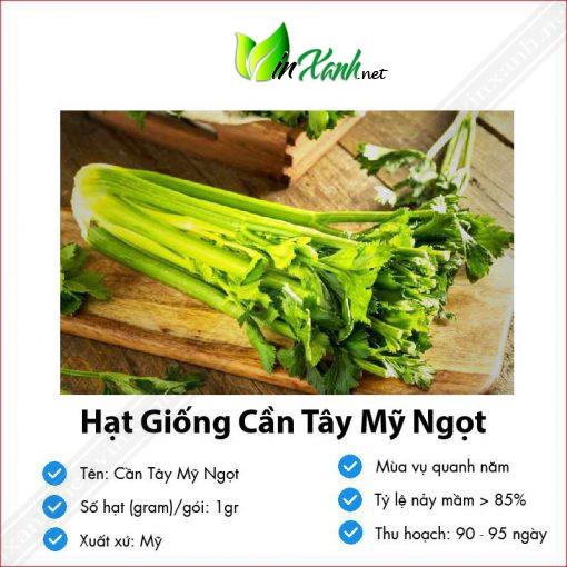 Hạt giống rau cần tây- NGUYÊN GÓI hàng công ty tuyển chọn kháng bệnh sống khỏe