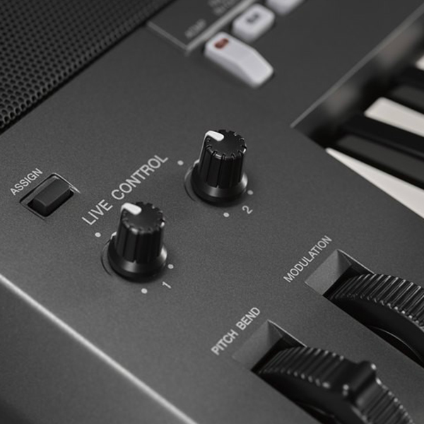 Đàn Organ Yamaha PSR - S975