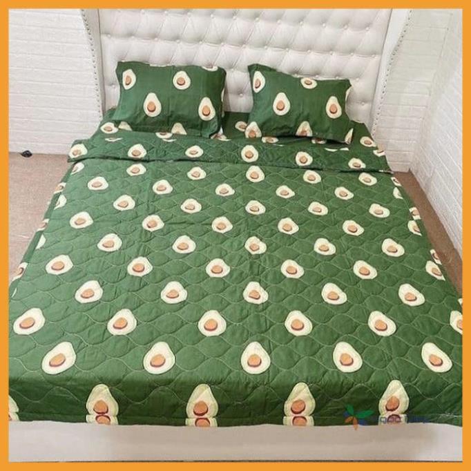 Set 4 Món Chăn Hè Trần Bông Ga Gối Poly Cotton Nhiều Mẫu