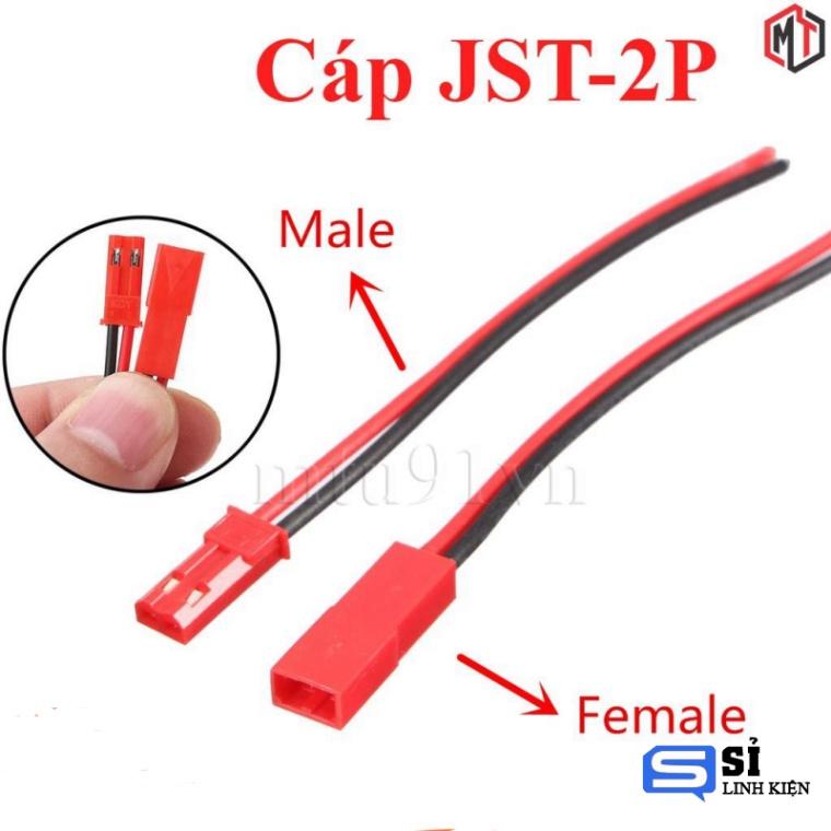 Cáp JST 2P - đực cái tùy chọn 10cm / 20cm - 10cm, 10cm