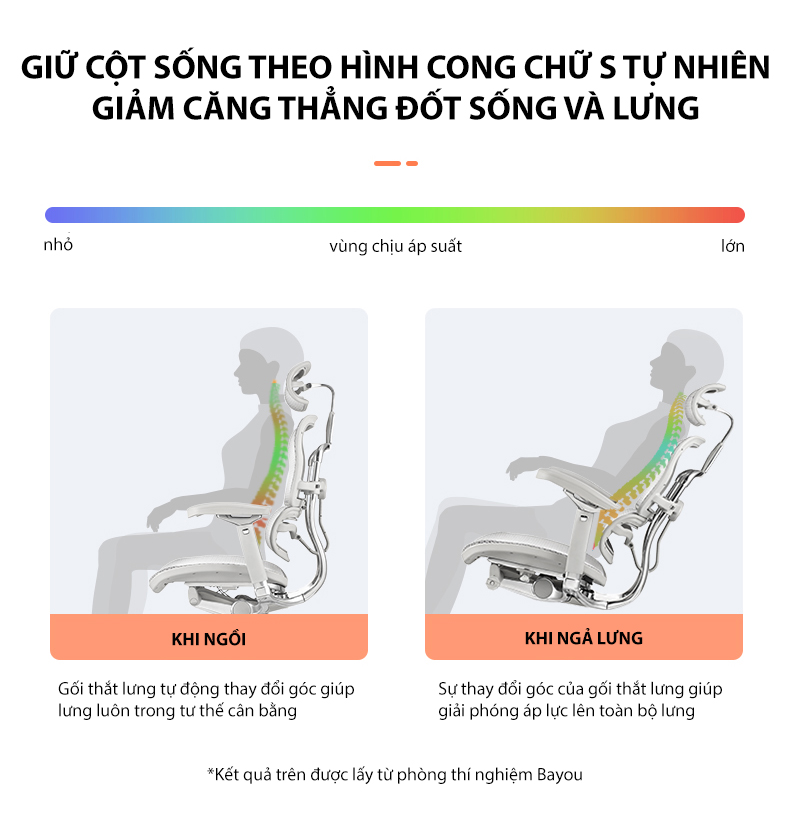 Ghế Công Thái Học cao cấp, ghế xoay văn phòng Nghia Furniture hỗ trợ cột sống cực tốt Ergohuman-C