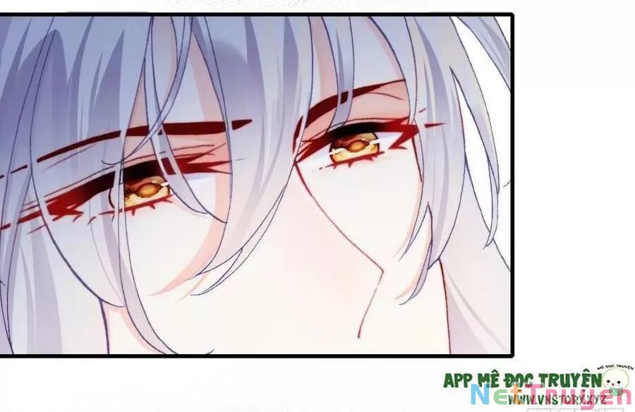 lại bị bệnh chiều chuộng quấn lấy chapter 68 8