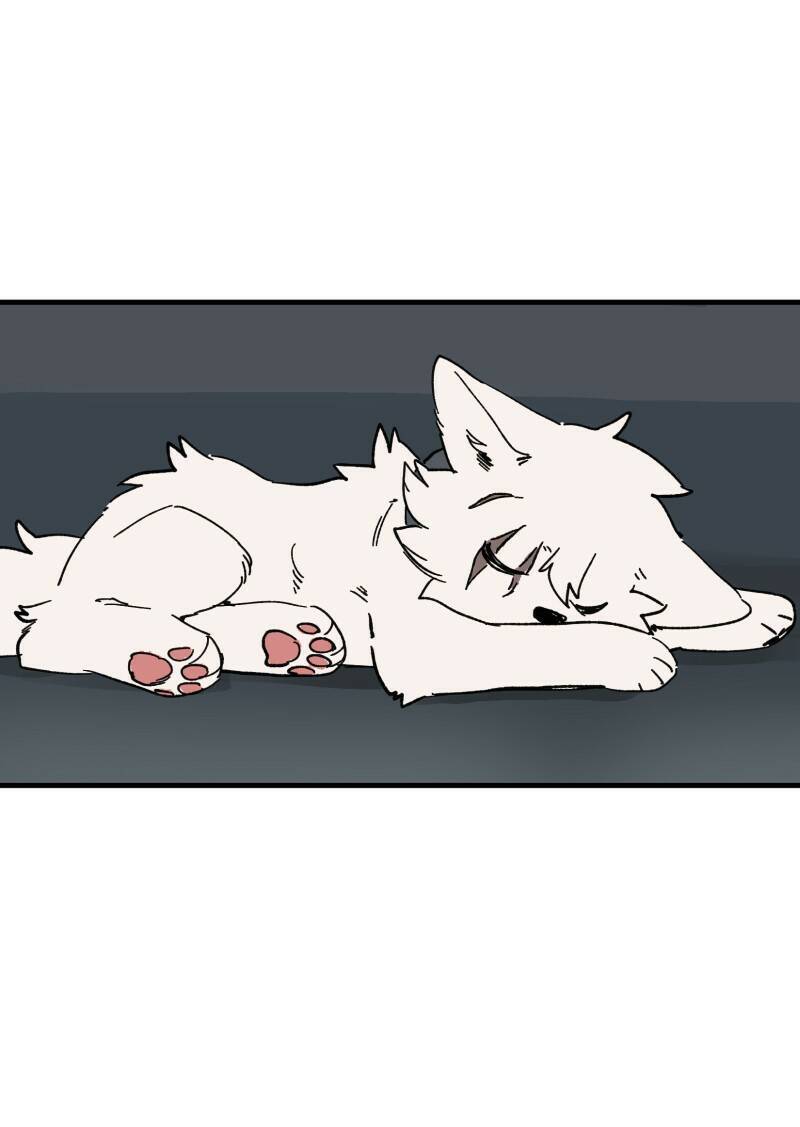 lumine - cội nguồn ánh sáng chapter 148 25