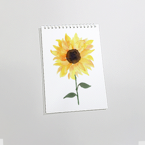 Sổ vẽ màu nước A4 có vân sang - giấy định lượng 260gsm nhập từ Ý, lên màu trong tự nhiên,15 tờ/cuốn, Green Art