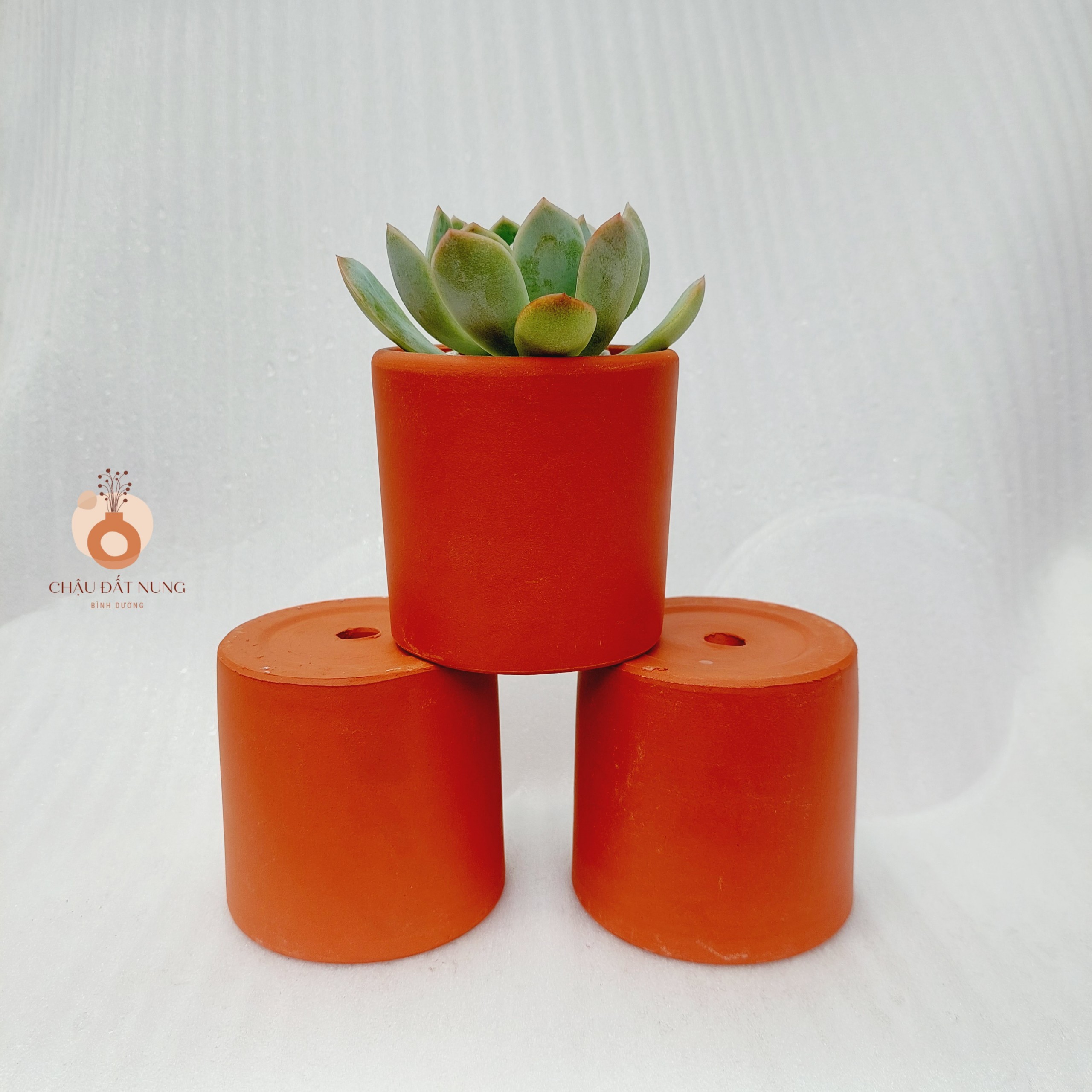 Chậu đất nung Bình Dương - Trụ 75, miệng chậu 7.5cm, chiều cao 7.5cm