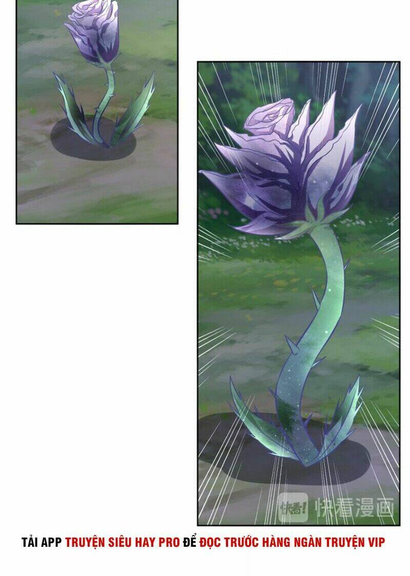 chín năm nghĩa vụ tu chân chapter 9 32