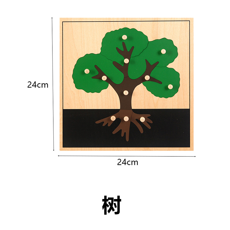 Tranh ghép sinh học Montessori
